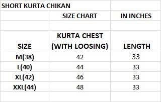 Stylish Short kurta Full Sleeves in Chikan Work Fabric